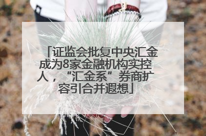 证监会批复中央汇金成为8家金融机构实控人，“汇金系”券商扩容引合并遐想