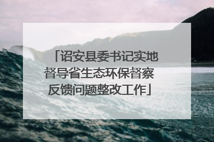诏安县委书记实地督导省生态环保督察反馈问题整改工作