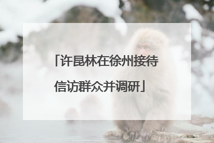 许昆林在徐州接待信访群众并调研