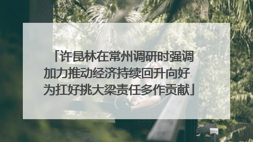 许昆林在常州调研时强调 加力推动经济持续回升向好 为扛好挑大梁责任多作贡献