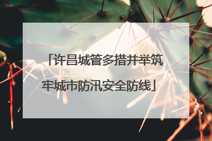 许昌城管多措并举筑牢城市防汛安全防线