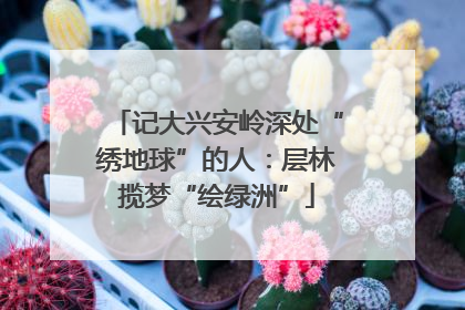 记大兴安岭深处“绣地球”的人：层林揽梦“绘绿洲”