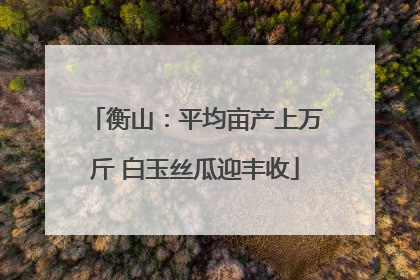 衡山：平均亩产上万斤 白玉丝瓜迎丰收