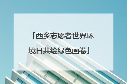 西乡志愿者世界环境日共绘绿色画卷