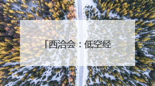 西洽会：低空经济展商引关注