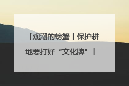 观潮的螃蟹丨保护耕地要打好“文化牌”