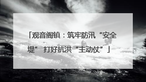 观音阁镇：筑牢防汛“安全堤” 打好抗洪“主动仗”