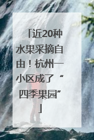 近20种水果采摘自由！杭州一小区成了“四季果园”