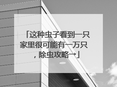 这种虫子看到一只家里很可能有一万只，除虫攻略→