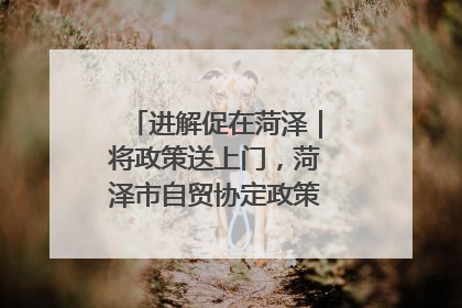 进解促在菏泽｜将政策送上门，菏泽市自贸协定政策专题宣讲会召开