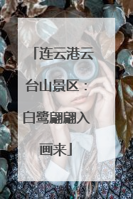 连云港云台山景区：白鹭翩翩入画来