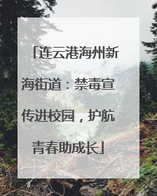 连云港海州新海街道：禁毒宣传进校园，护航青春助成长