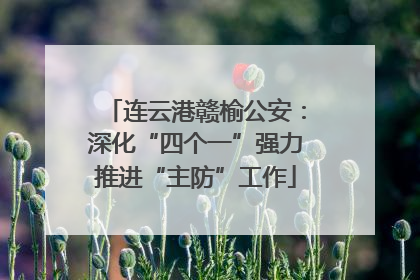 连云港赣榆公安：深化“四个一”强力推进“主防”工作