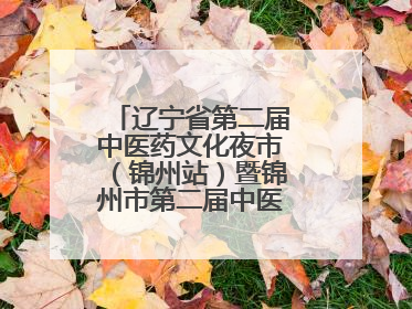 辽宁省第二届中医药文化夜市（锦州站）暨锦州市第二届中医康养夜市启幕