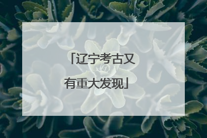 辽宁考古又有重大发现