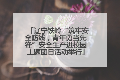 辽宁铁岭“筑牢安全防线，青年勇当先锋”安全生产进校园主题团日活动举行
