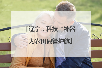辽宁：科技“神器”为农田夏管护航