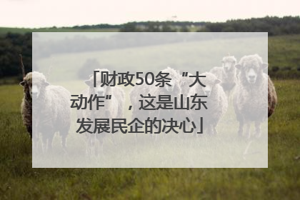财政50条“大动作”，这是山东发展民企的决心