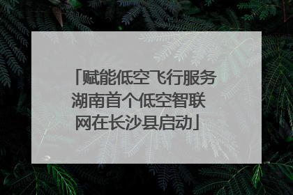 赋能低空飞行服务 湖南首个低空智联网在长沙县启动