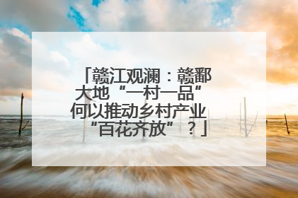 赣江观澜：赣鄱大地“一村一品”何以推动乡村产业“百花齐放”？