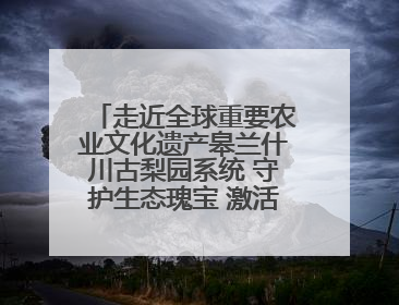 走近全球重要农业文化遗产皋兰什川古梨园系统 守护生态瑰宝 激活发展动能