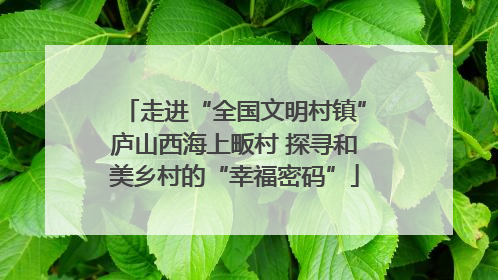 走进“全国文明村镇”庐山西海上畈村 探寻和美乡村的“幸福密码”