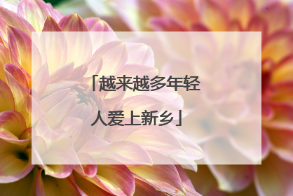 越来越多年轻人爱上新乡