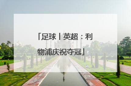 足球丨英超：利物浦庆祝夺冠
