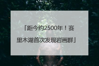 距今约2500年！赛里木湖首次发现岩画群