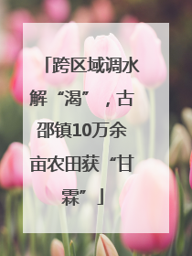 跨区域调水解“渴”，古邵镇10万余亩农田获“甘霖”
