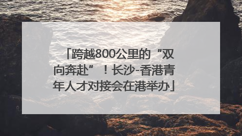 跨越800公里的“双向奔赴”！长沙-香港青年人才对接会在港举办