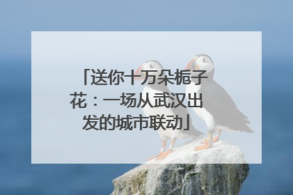 送你十万朵栀子花：一场从武汉出发的城市联动