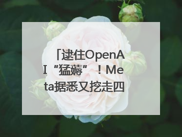 逮住OpenAI“猛薅”！Meta据悉又挖走四位知名研究人员