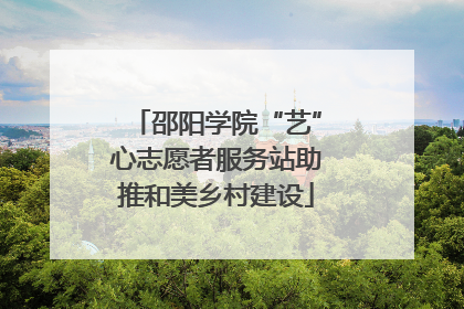 邵阳学院“艺”心志愿者服务站助推和美乡村建设