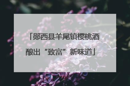 郧西县羊尾镇樱桃酒酿出“致富”新味道