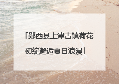 郧西县上津古镇荷花初绽邂逅夏日浪漫