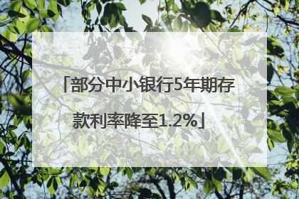 部分中小银行5年期存款利率降至1.2%