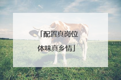配置真岗位 体味真乡情