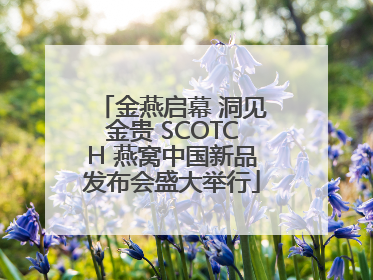 金燕启幕 洞见金贵 SCOTCH 燕窝中国新品发布会盛大举行