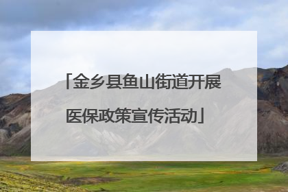 金乡县鱼山街道开展医保政策宣传活动
