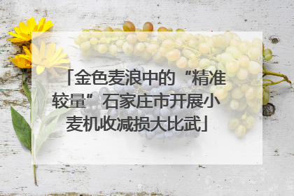 金色麦浪中的“精准较量”石家庄市开展小麦机收减损大比武