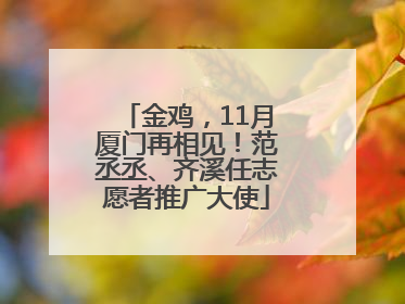 金鸡，11月厦门再相见！范丞丞、齐溪任志愿者推广大使