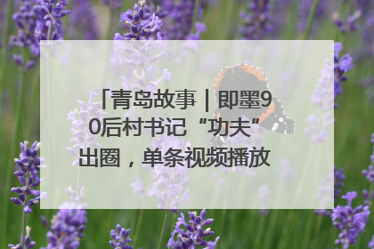 青岛故事｜即墨90后村书记“功夫”出圈，单条视频播放量过600万