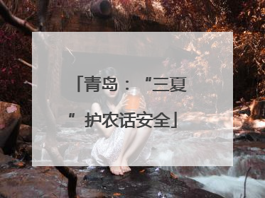 青岛：“三夏”护农话安全