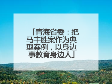 青海省委：把马丰胜案作为典型案例，以身边事教育身边人