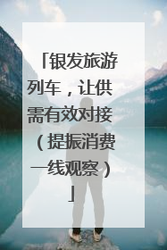 银发旅游列车，让供需有效对接（提振消费一线观察）