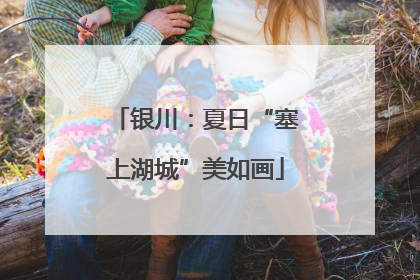 银川：夏日“塞上湖城”美如画