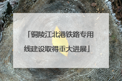 铜陵江北港铁路专用线建设取得重大进展