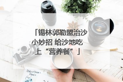 锡林郭勒盟治沙小妙招 给沙地吃上“营养餐”