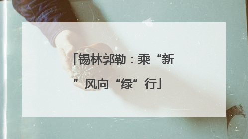 锡林郭勒：乘“新”风向“绿”行